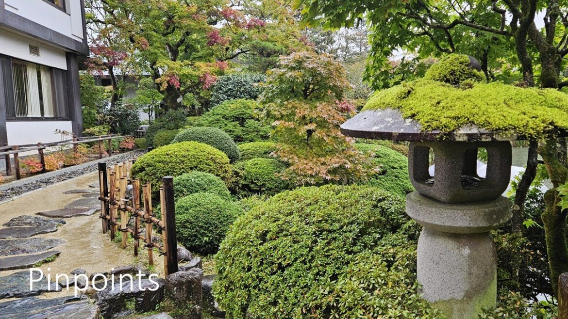 Pinpoints | E6 "I'ma Just STFU Today" | Nikko, Japan