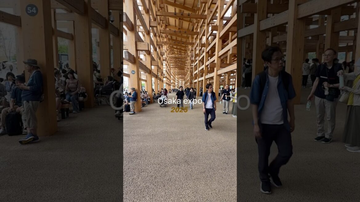 Osaka expo 2025 #japan #travel #asiantravel #japantravel #traveldestinations #osaka #osakaexpo2025