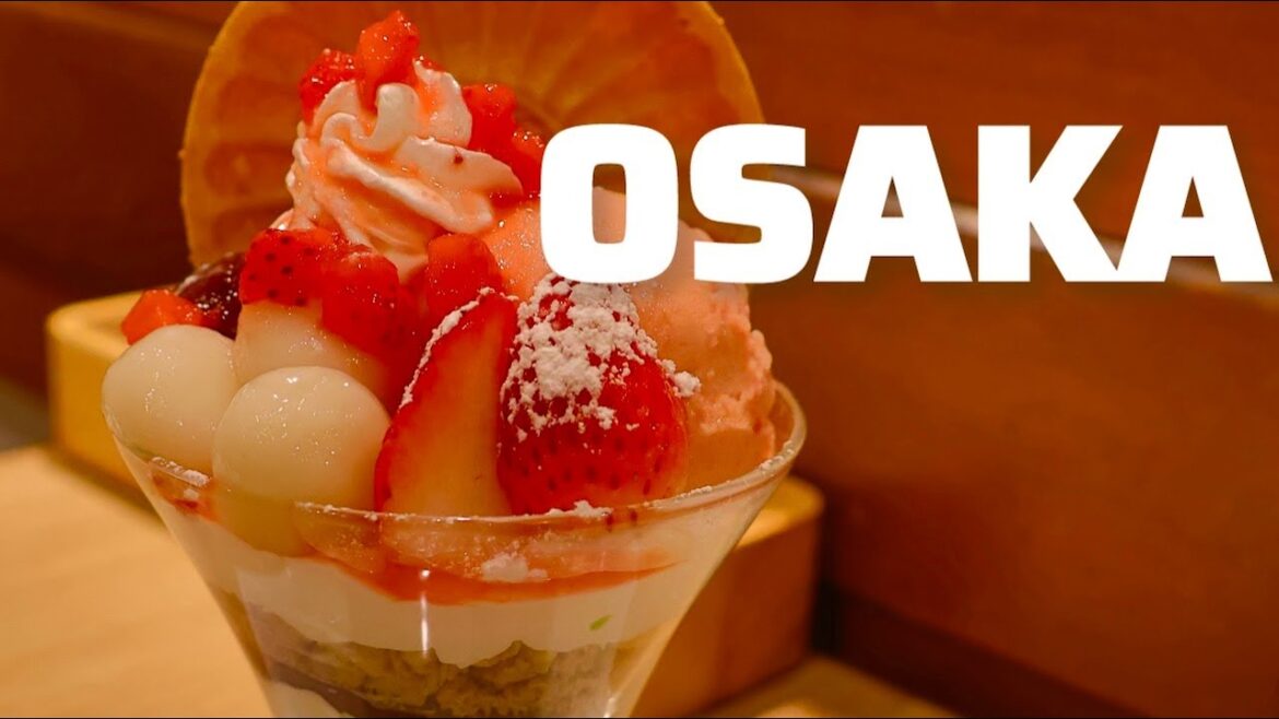 Osaka JAPAN Food Tour 2025!! Osaka JAPAN Food Tour 2025!!