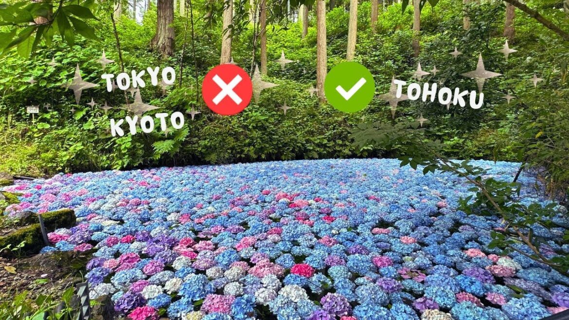 Rural Japan Has The Most Surreal Scenery