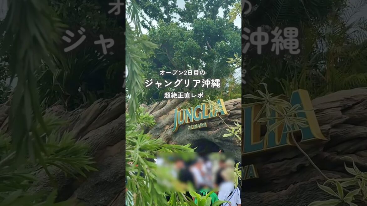オープン2日目のジャングリア沖縄🌺超絶正直レポします。 #shorts #short #ジャングリア #ジャングリア沖縄 #junglia