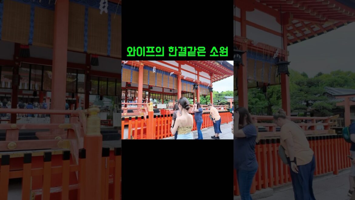 우리 모두의 꿈 ✨ #신혼부부브이로그 #여행유튜버 #일본여행 #세계여행부부 #연애 #로또 #로또당첨 #소원 #여우신사 #교토여행 #교토여우신사 #여자친구 #와이프