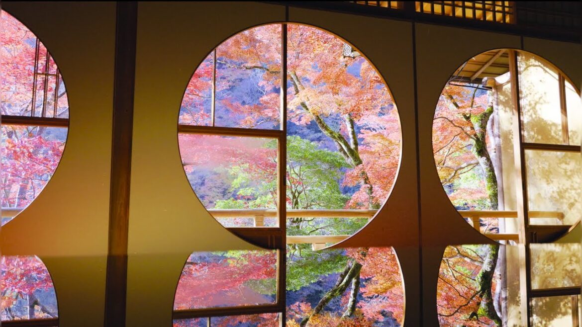 Days in Kansai (2024) | 4K HDR Days in Kansai (2024) | 4K HDR