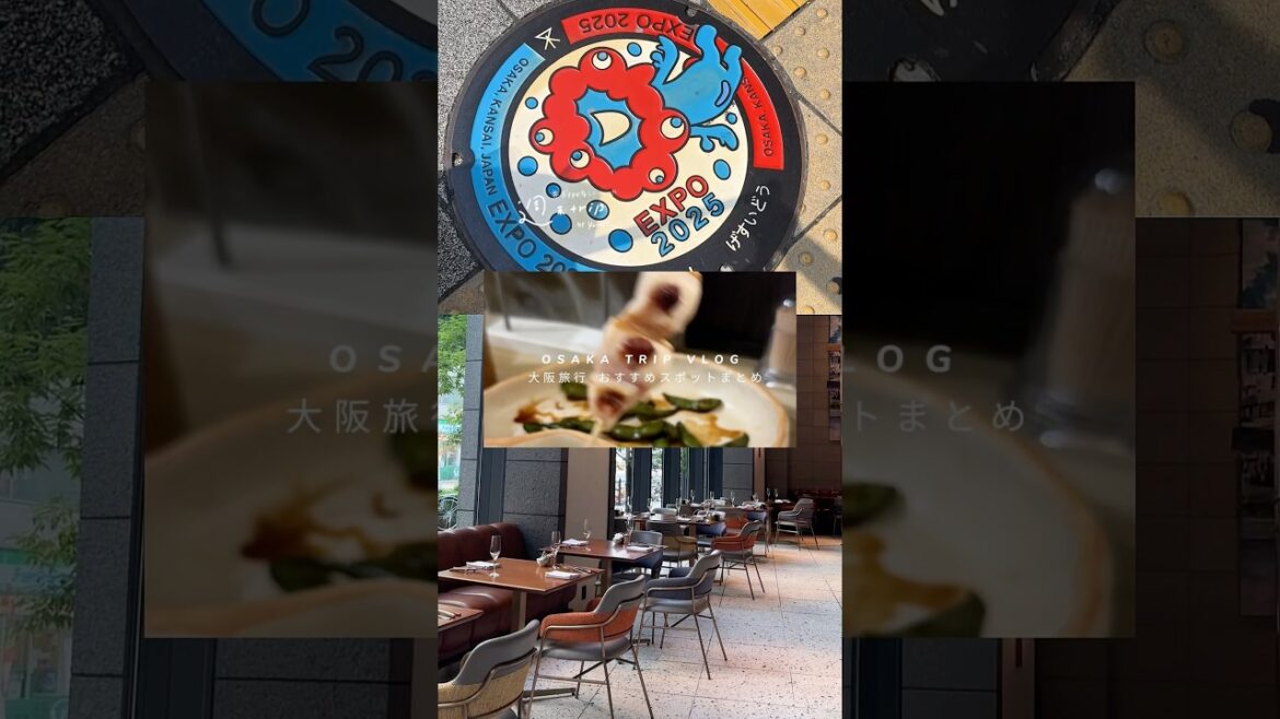 大坂旅行VLOG◾︎大阪おすすめグルメ、お買い物スポット、ホテルまとめ #大阪旅行