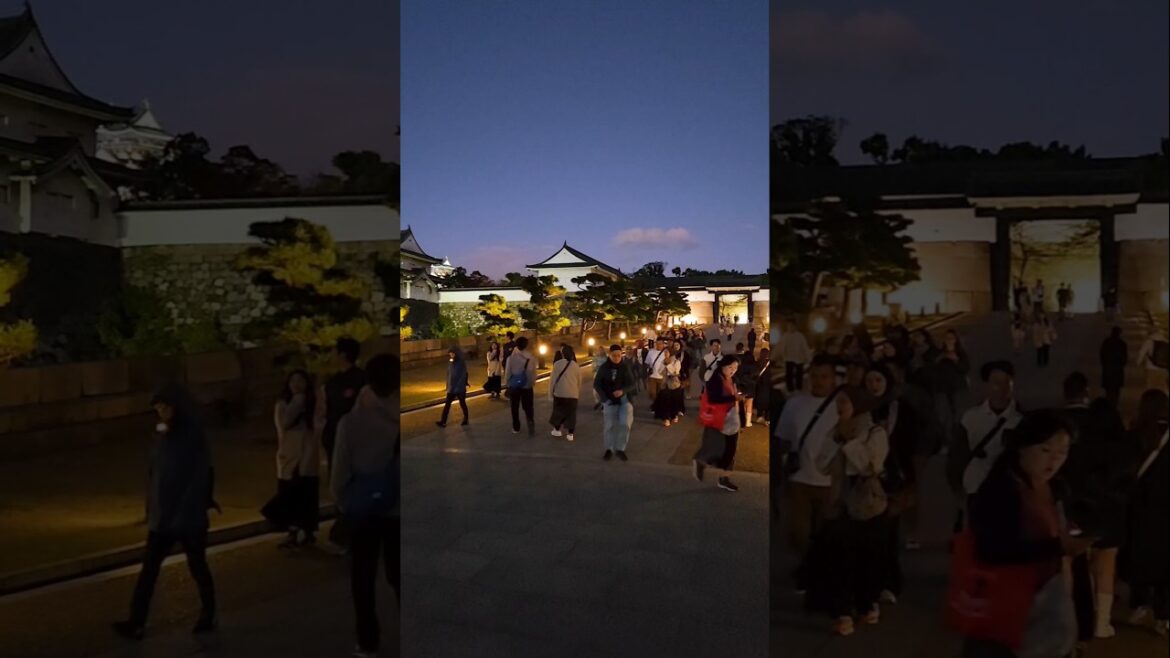 Outstanding Osaka ๐ฏ๐ต #shorts #Japan #travel Outstanding Osaka ๐ฏ๐ต #shorts #Japan #travel