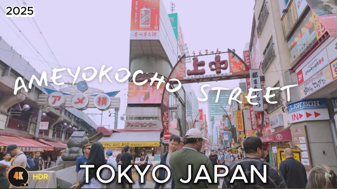 TOKYO JAPAN 🇯🇵 – 4K WALK IN AMEYOKO STREET!  #travel #japan
