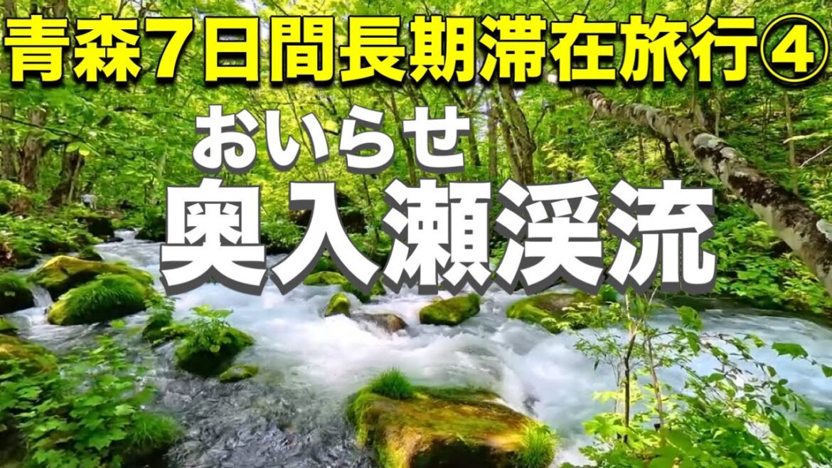 青森を代表する景勝地 滝や清流、新緑は美しく自然の力を感じます