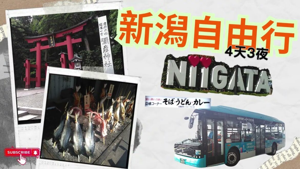 日本🇯🇵｜新潟自由行4天3夜｜♡日本西岸 #japan #niigata #travel #food #foodie #shorts