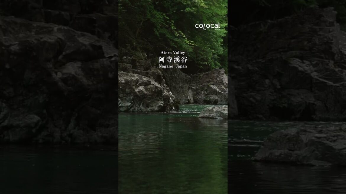【長野の秘境】阿寺ブルーに癒される夏の絶景ハイキング | #阿寺渓谷 #長野県 #木曽路 #colocal #コロカル 【長野の秘境】阿寺ブルーに癒される夏の絶景ハイキング | #阿寺渓谷 #長野県 #木曽路 #colocal #コロカル