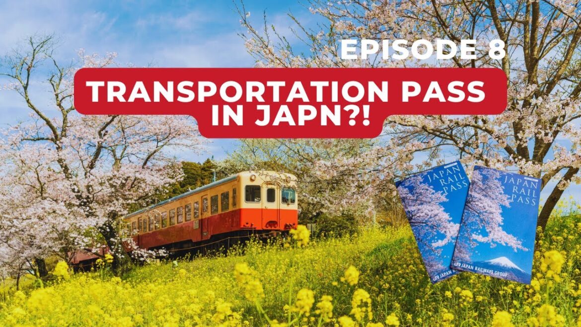 🚊 Which Japan Train Pass Is Best for You in 2025? Do you really need JR Pass for Japan Travel? 🇯🇵