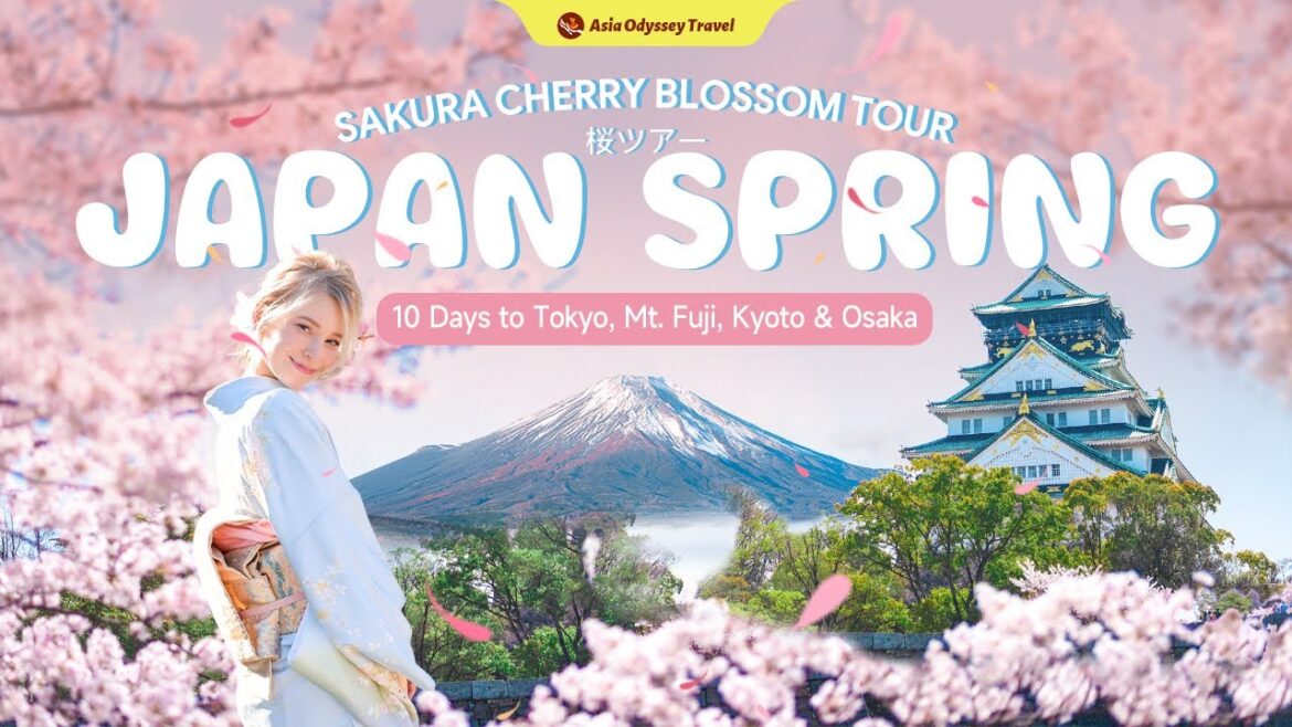 10 Day in Japan Itinerary for Spring: Best Sakura Tour to Tokyo, Kyoto & Mt  Fuji