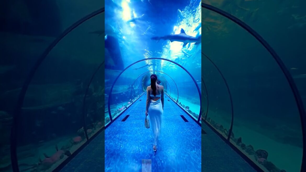 Amazing place on the earth that dont feel real 🥶😍🤯#travel #shortvideo Amazing place on the earth that dont feel real 🥶😍🤯#travel #shortvideo