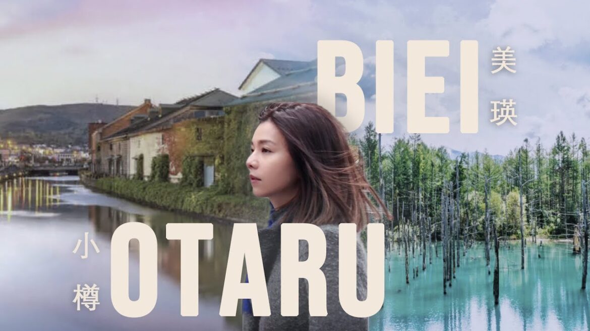 ［北海道］小樽－美瑛－旭川：運河、白金青池、美瑛神社、日劇《初戀》取景地｜Tour with NicoleXs