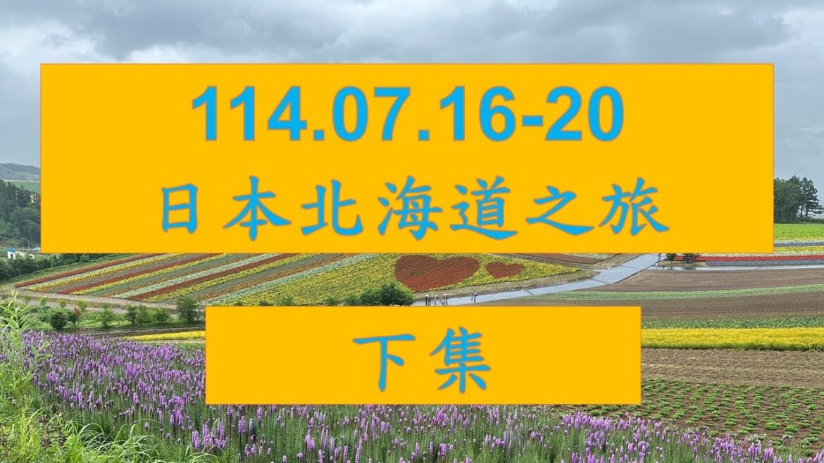 114.07.16-20 日本北海道5日遊 下集 -函館朝市、尼克斯海洋公園、登別溫泉、極樂通商店街、富良野富田農場、四季彩之丘、札幌、狸小路商店街、難陀螃蟹吃到飽、札幌王子飯店、北海道神宮