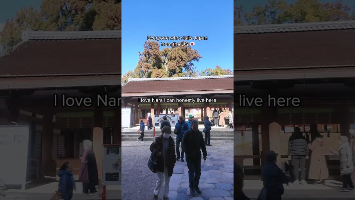 Everyone after their first taste of Kansai Everyone after their first taste of Kansai