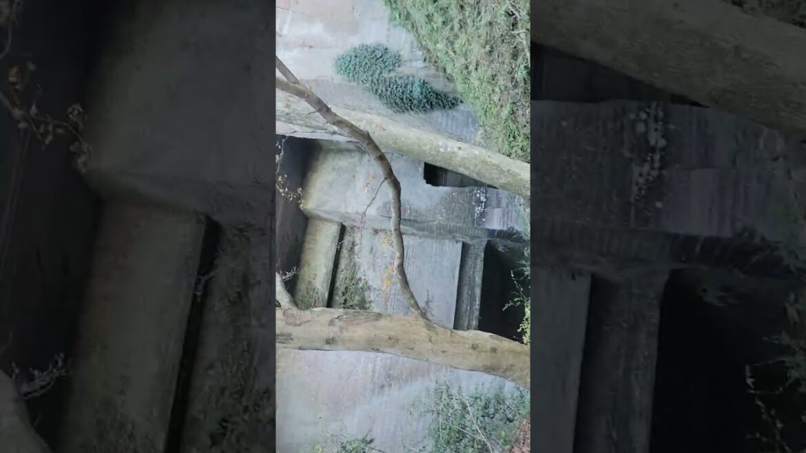 Amazing Abandoned Quarry in Chiba, Japan in Nokogiriyama p2 Amazing Abandoned Quarry in Chiba, Japan in Nokogiriyama p2