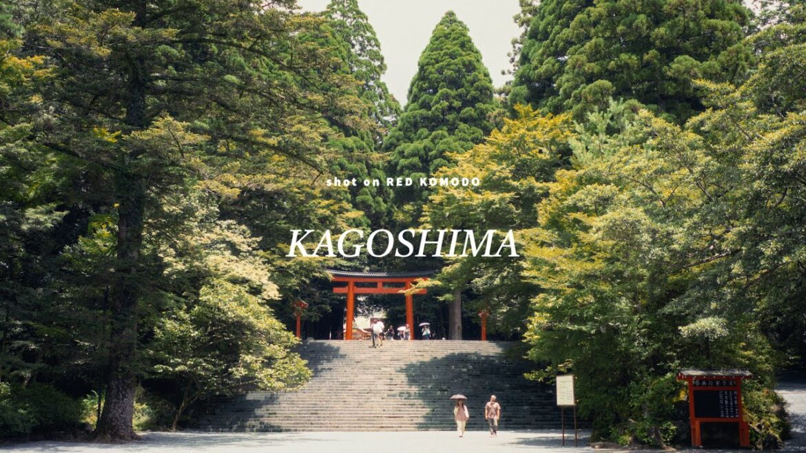 Summer in Japan🇯🇵