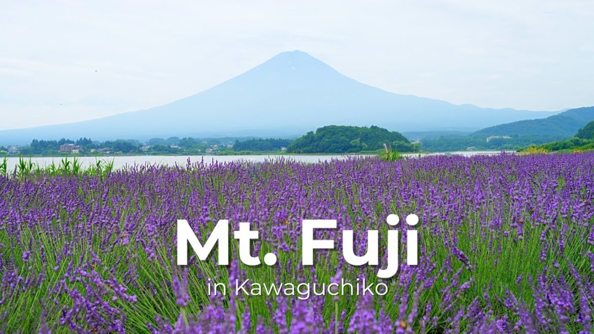 【4K】河口湖で富士山に出会う｜静かな1泊2日の癒し旅 Vlog