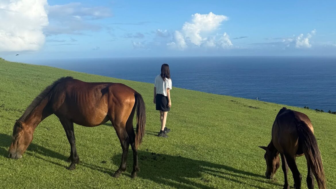 miyazaki & kagoshima trip