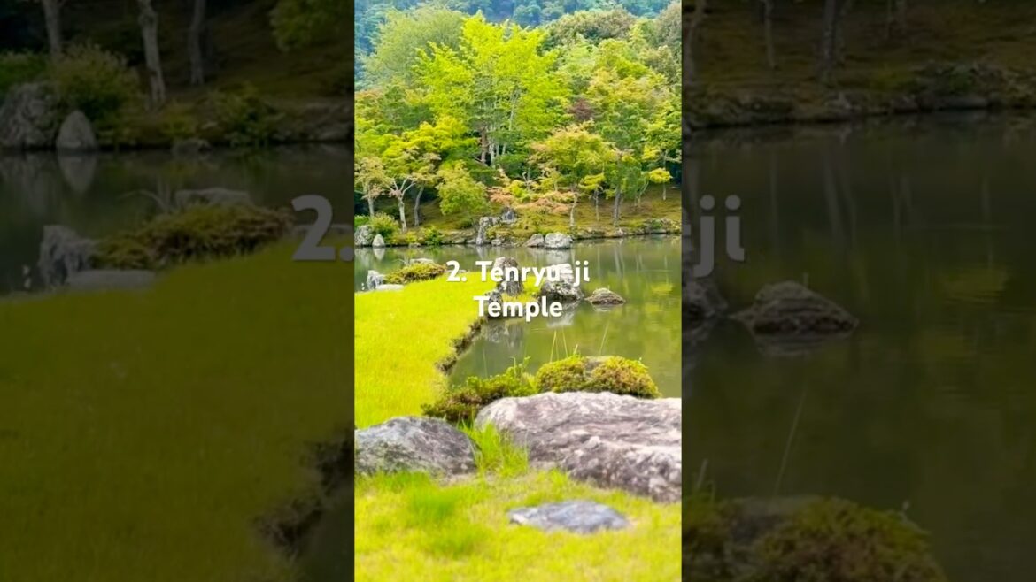 Must Visit Attractions in Arashiyama | Bamboo Forest & Temples #shorts #shortsvideo #arashiyama Must Visit Attractions in Arashiyama | Bamboo Forest & Temples #shorts #shortsvideo #arashiyama