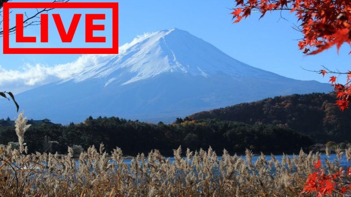 🌎 LIVE Mount Fuji Volcano, Japan