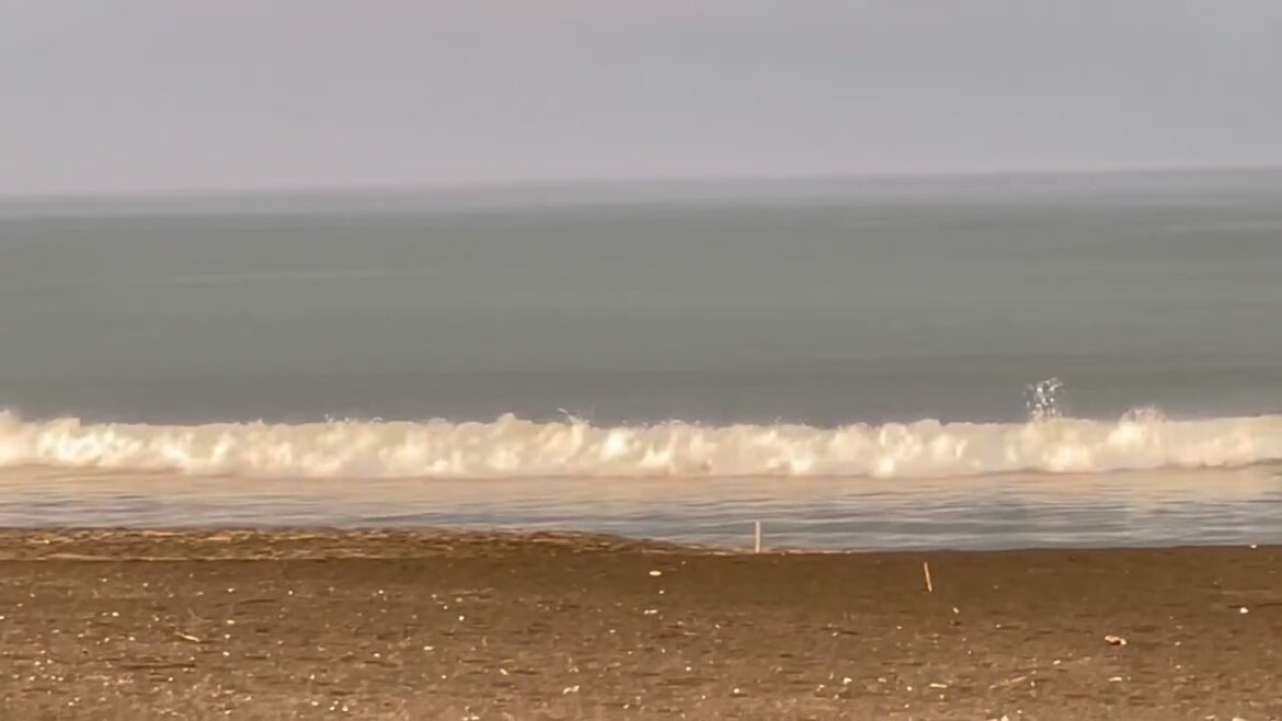 Japan Chiba Taito Beach 2025/7/1