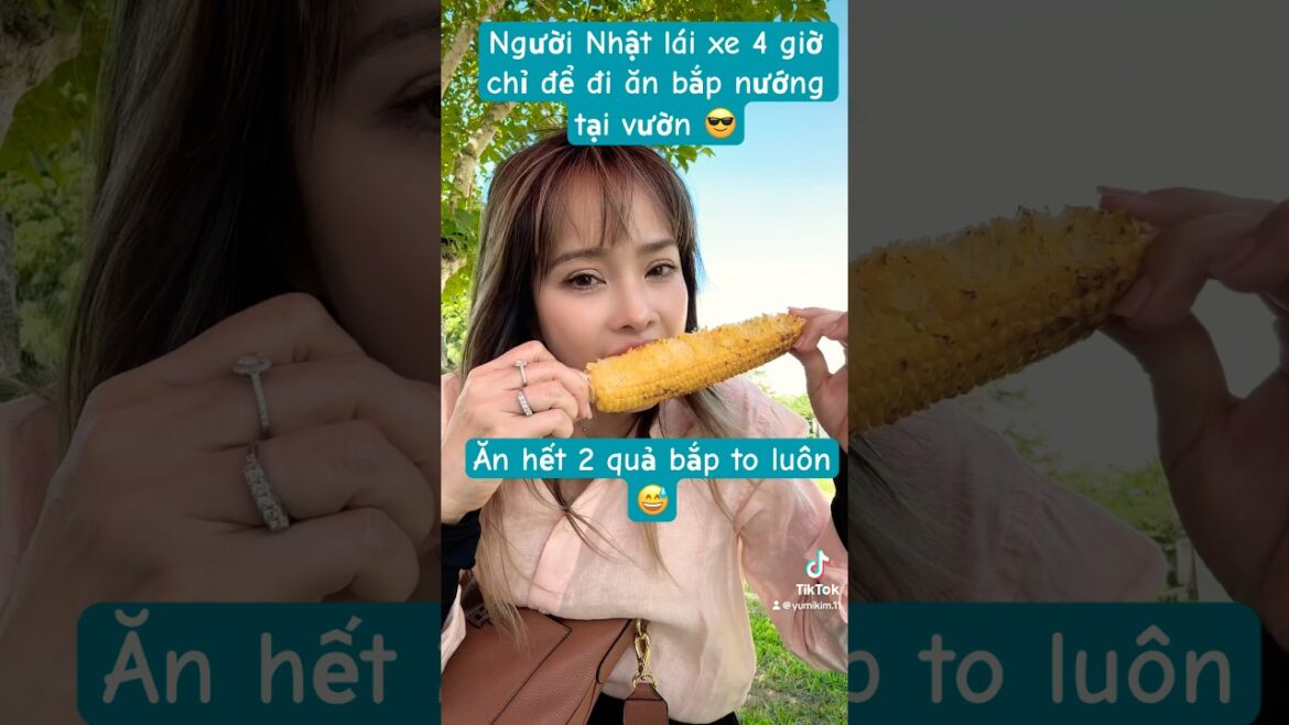 Người Nhật lái xe 4 tiếng chỉ để ăn được quả bắp nướng tại vườn 🪭😎 #japan #travel #nagano #dulich Người Nhật lái xe 4 tiếng chỉ để ăn được quả bắp nướng tại vườn 🪭😎 #japan #travel #nagano #dulich