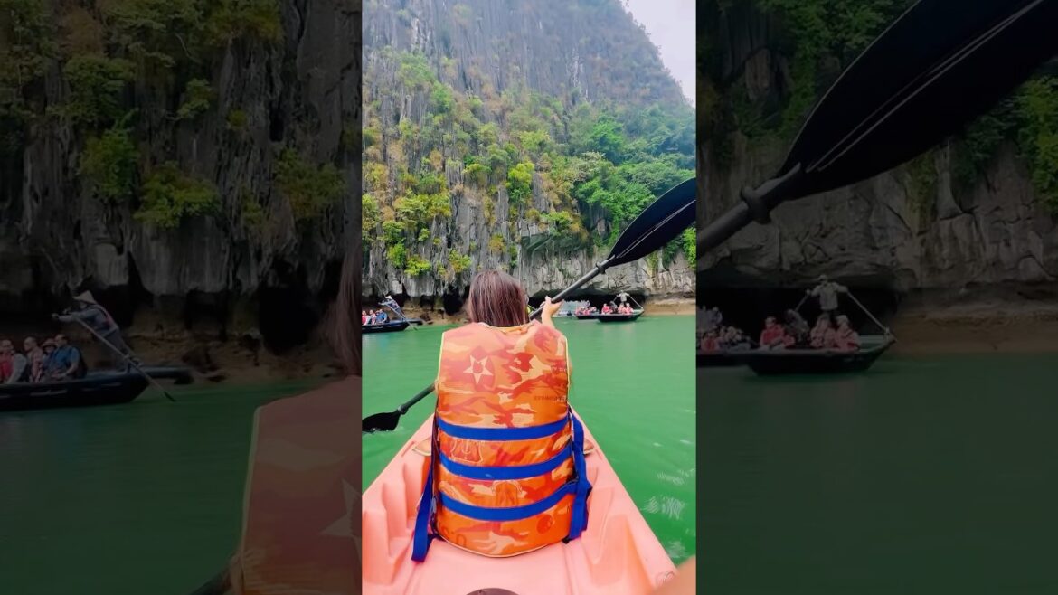 Best travel destinations in Asia #travel #japan #vietnam #shortsviral #ytshorts #trending #asia