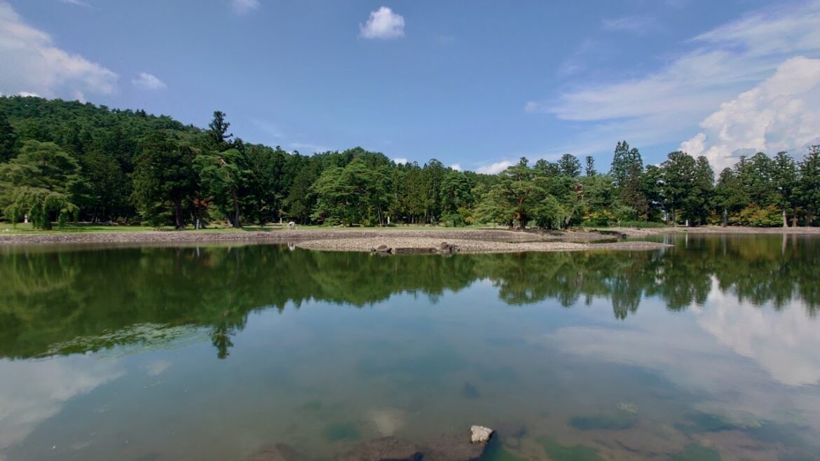 秋田県大仙市大神成森林ライブカメラ Akita daisen Live camera.world.cam