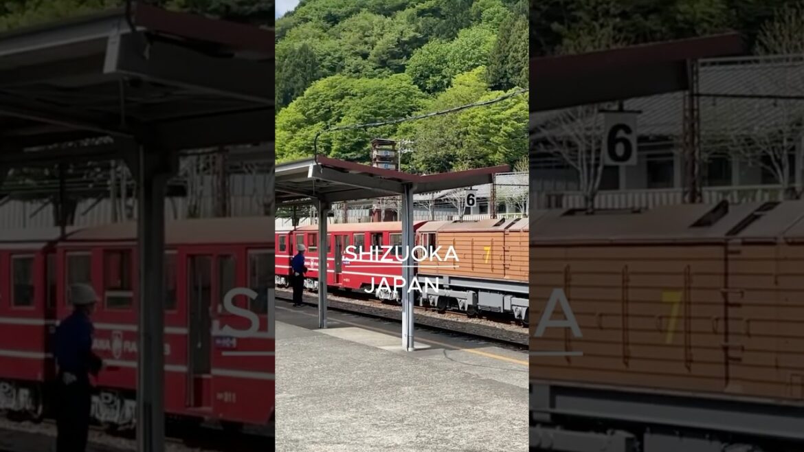 A Scenic Journey Through Shizuoka by Train 🌄🚋