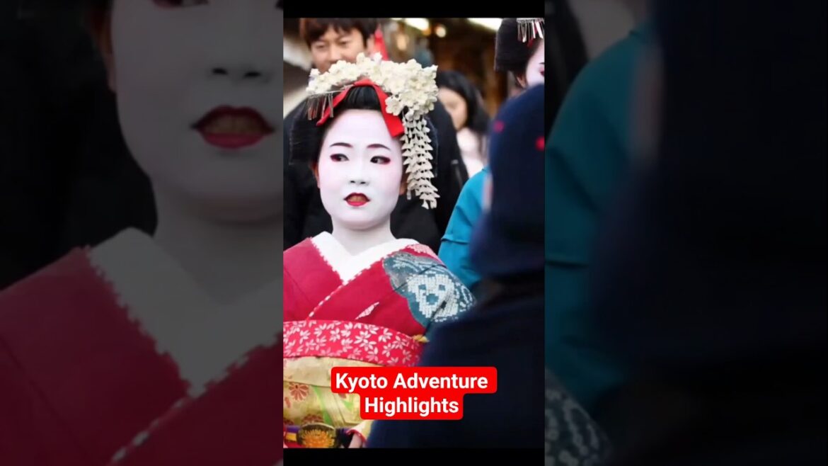 Kyoto Adventure Highlights #travel #japaneseculture #facts #travelbucketlist #traveltips