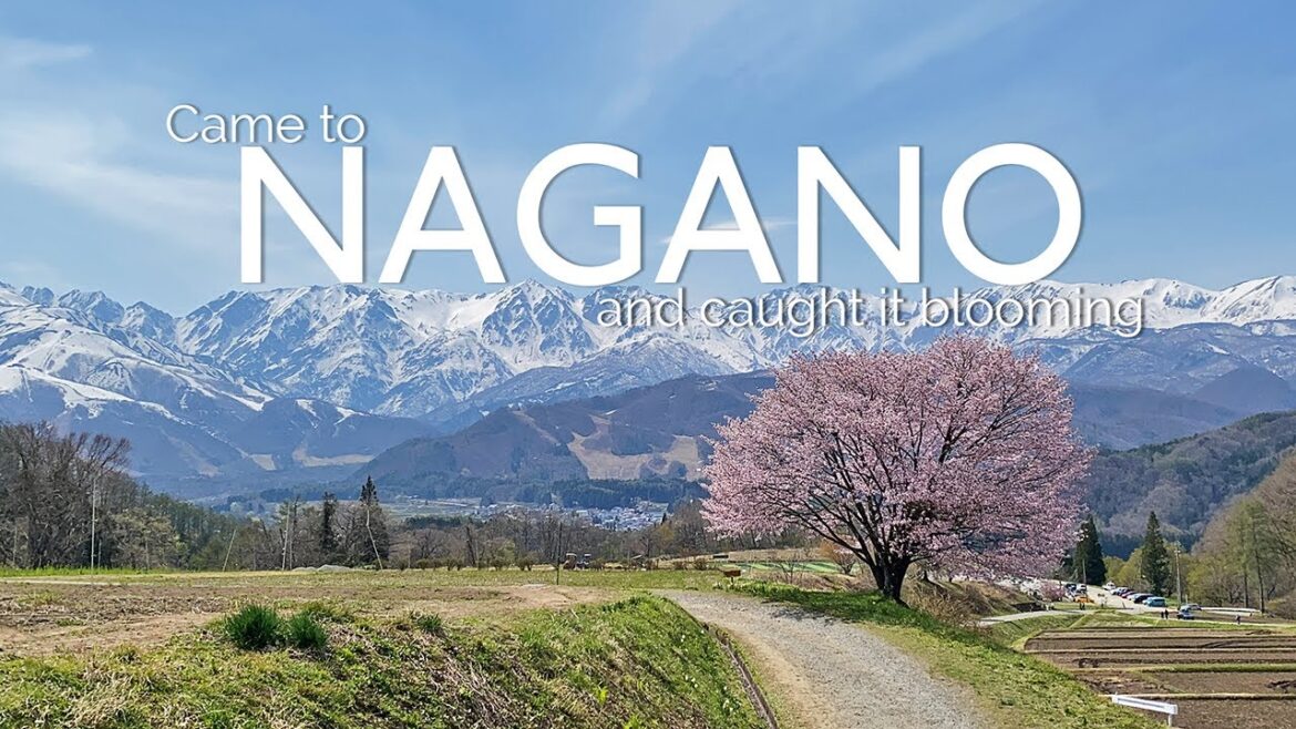 Nagano in Bloom | Japan Travel Vlog Nagano in Bloom | Japan Travel Vlog