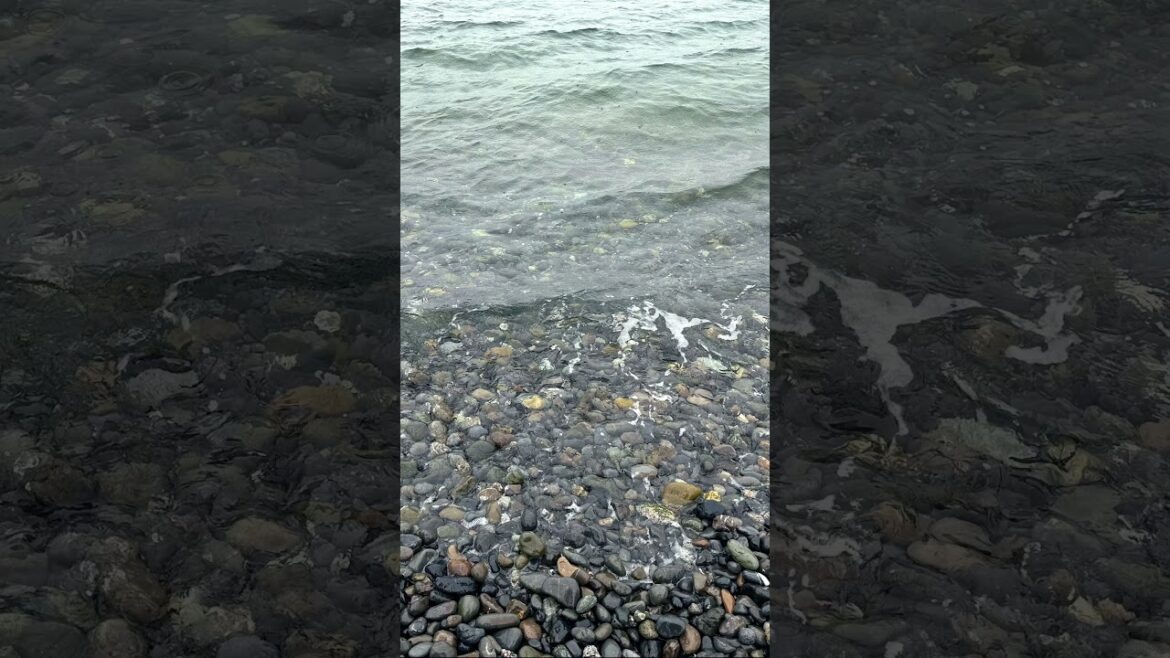 #shortvideo #stangstory #shizuoka  #japan #japantravel #culture #travel #beach #sand #sea #views