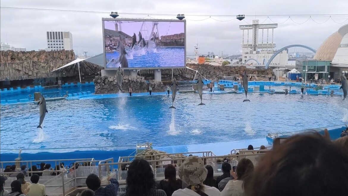 TRAVEL VLOG | NAGOYA PORT PUBLIC AQUARIUM | NAGOYA, JAPAN | MAY 10, 2025