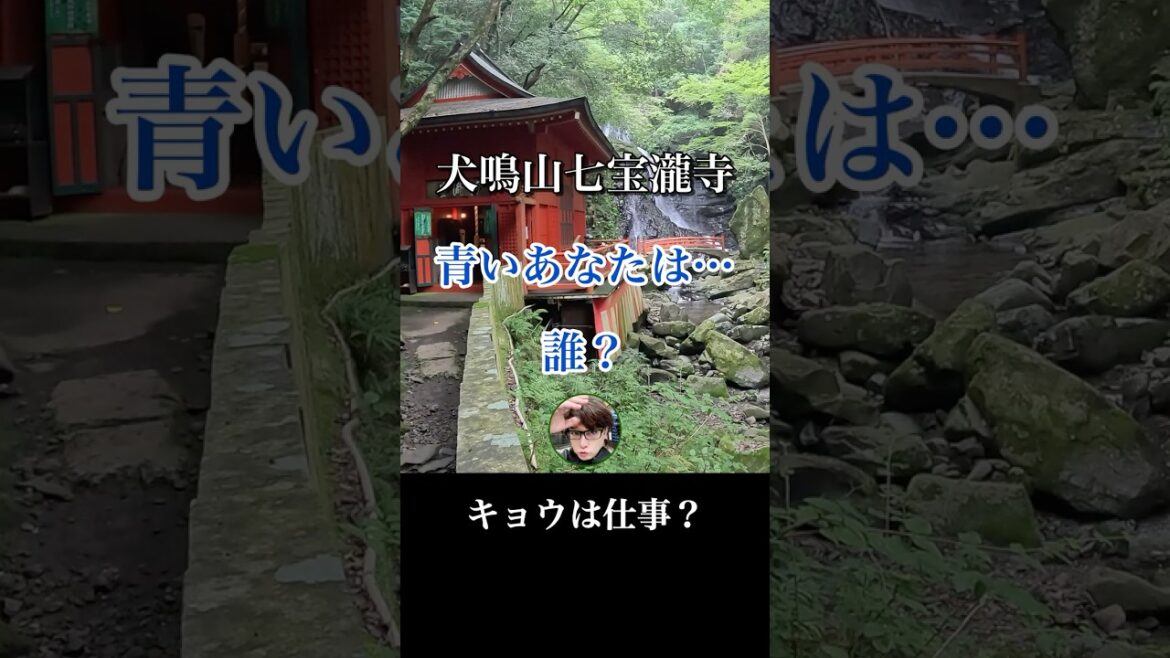 【大阪犬鳴山七宝瀧寺】怪現象!? 青いあなたは…誰?|今日は仕事?【#4k 】 【大阪犬鳴山七宝瀧寺】怪現象!? 青いあなたは…誰?|今日は仕事?【#4k 】