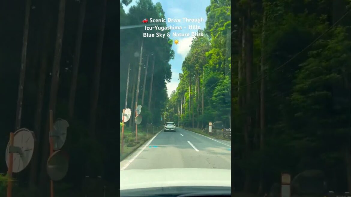 🚗 Scenic Drive Through Izu-Yugashima – Hills, Blue Sky & Nature Bliss 🌿☀️