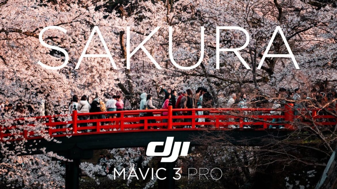 HIROSAKI SAKURA, Japan – DJI Mavic 3 Pro | Cinematic Travel Video HIROSAKI SAKURA, Japan - DJI Mavic 3 Pro | Cinematic Travel Video