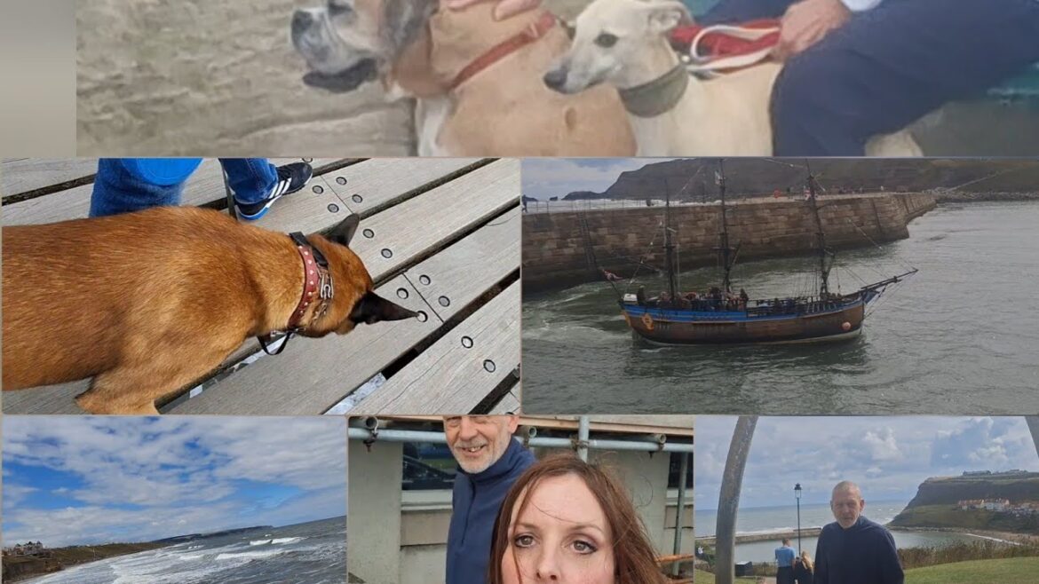 A beautiful fun Dog Friendly walk around Whitby Harbour with some show off Belgian Malinois Jumps A beautiful fun Dog Friendly walk around Whitby Harbour with some show off Belgian Malinois Jumps