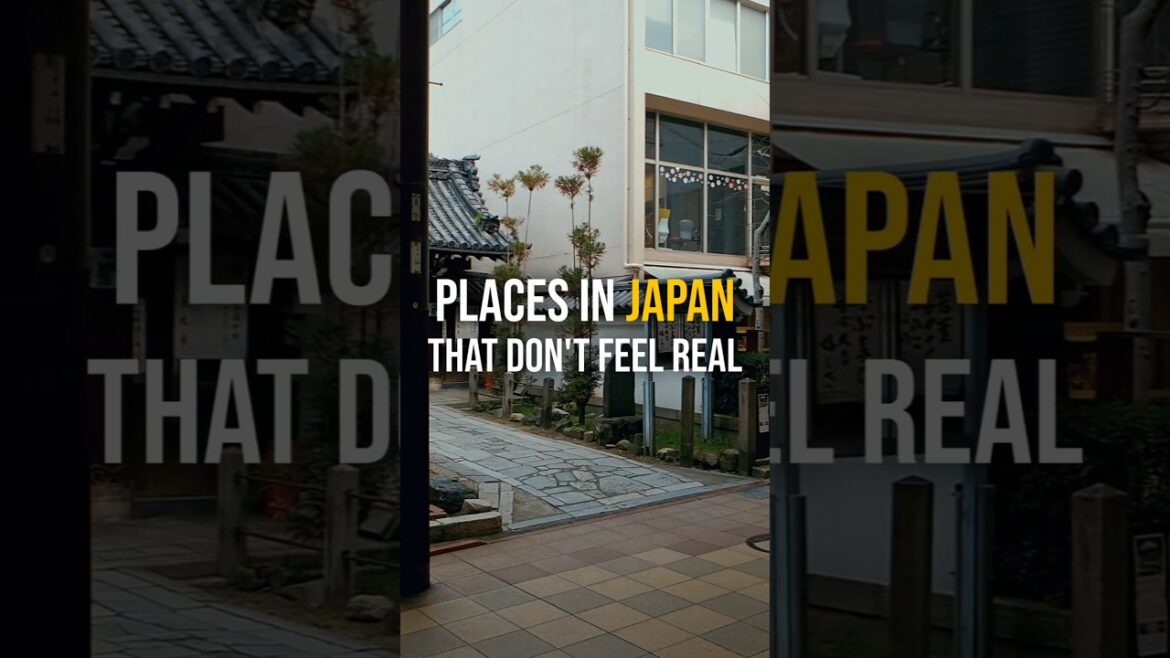 These places in Japan dont feel real! #Japantrip #viral #worldtravel #japan #travel #viral #tokyo