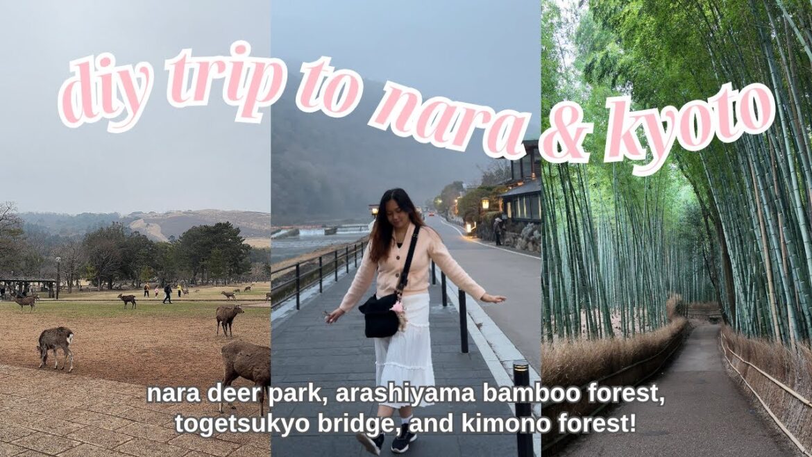 Osaka to Nara & Kyoto | Nara Deer Park, Arashiyama Bamboo Forest, Kimono Forest, Togetsukyo Bridge