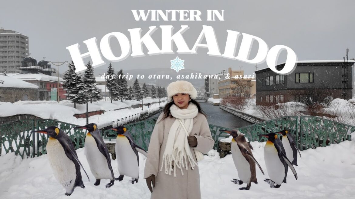 WINTER IN HOKKAIDO ep. 02 | day trips to otaru (music box museum), asahikawa (penguin march) & asari