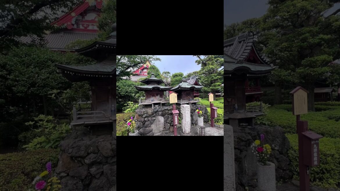 Top 5 places to see in Japan