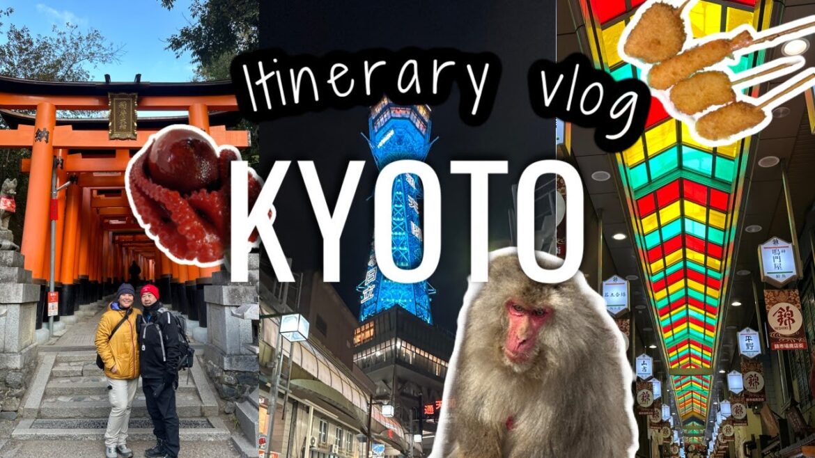 Kyoto's Best in a Day: Fushimi Inari shrine, Market bites, & Monkey views!  | Japan