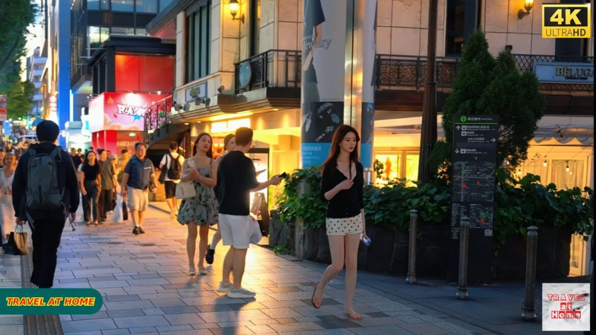 4K HDR Japan travel 2025 | Walk in Harajuku（原宿）Tokyo Japan |  Relaxing Natural City ambience