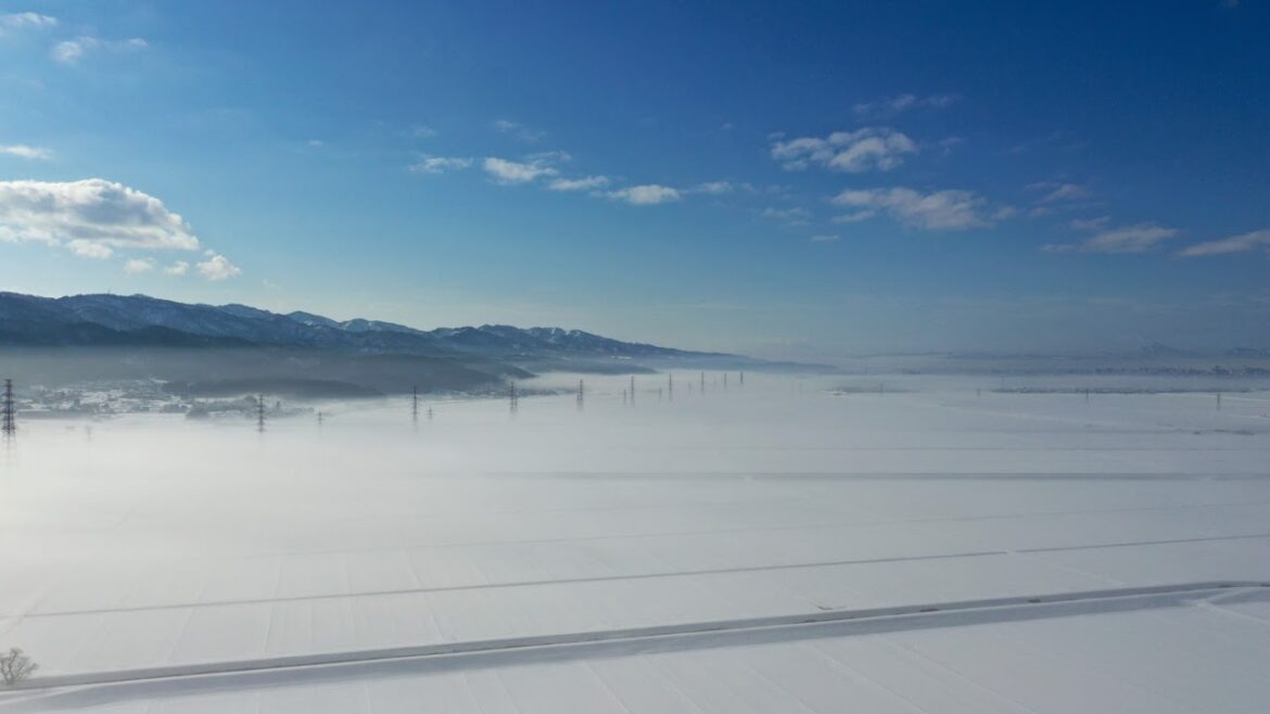 新潟県長岡市殿町柿川通りライブカメラ Niigata Nagaoka Tonomachi Live Camera.world.cam