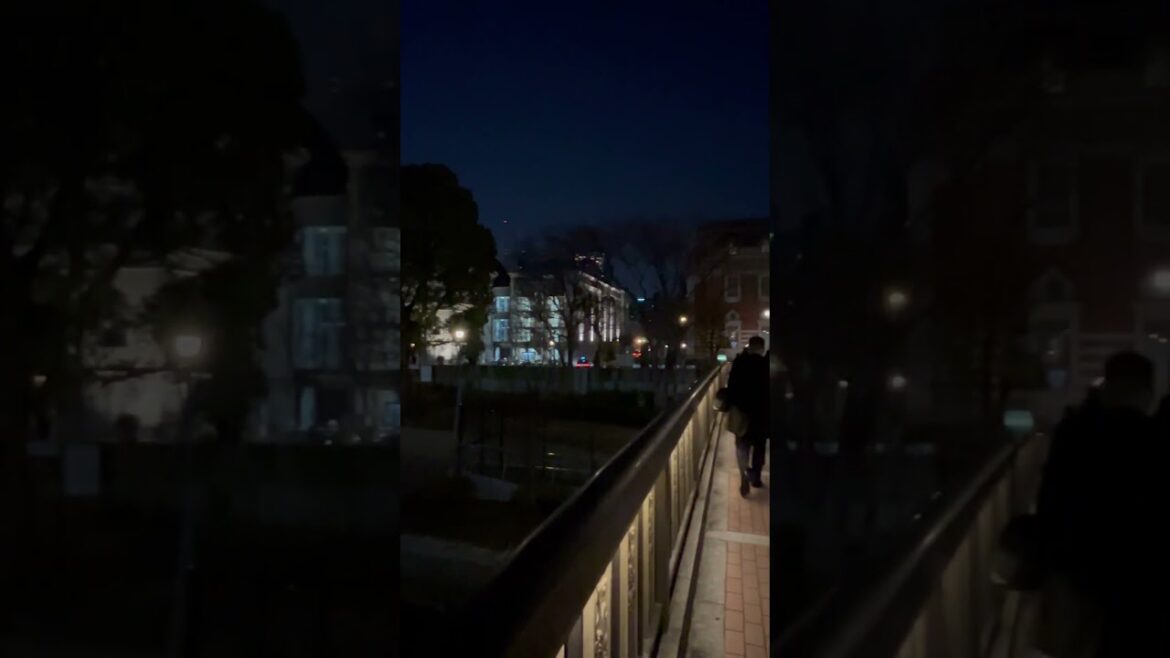 【OSAKA】Must-See Night Tourist Attractions - Nakanoshima