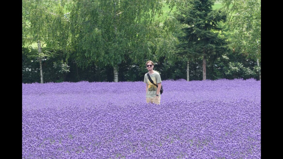 7 of 7:  Hokkaido (Furano) - 2025 Vacation Series 1