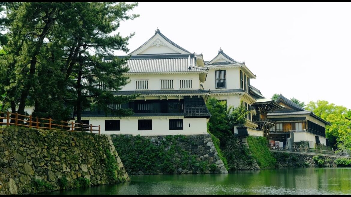 Fast Track: Kitakyushu and Fukuoka