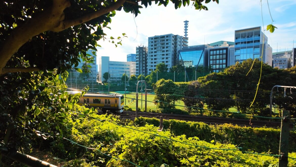 Japan Summer Sunset Stroll with City Parks And Trains Under Soft Sunset Light Japan Summer Sunset Stroll with City Parks And Trains Under Soft Sunset Light