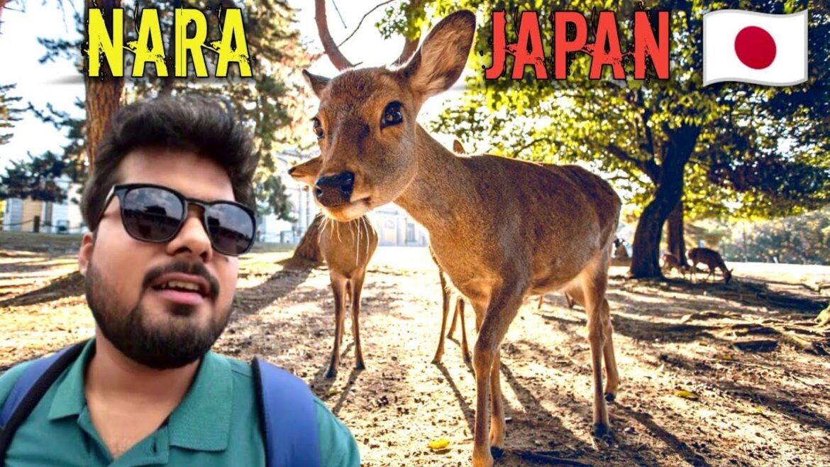 I Visited NARA DEER🦌 Park in Nara | JAPAN 🇯🇵